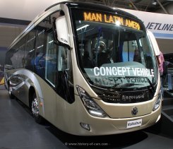 VW Volksbus Viale BRT Flex/Diesel 2012